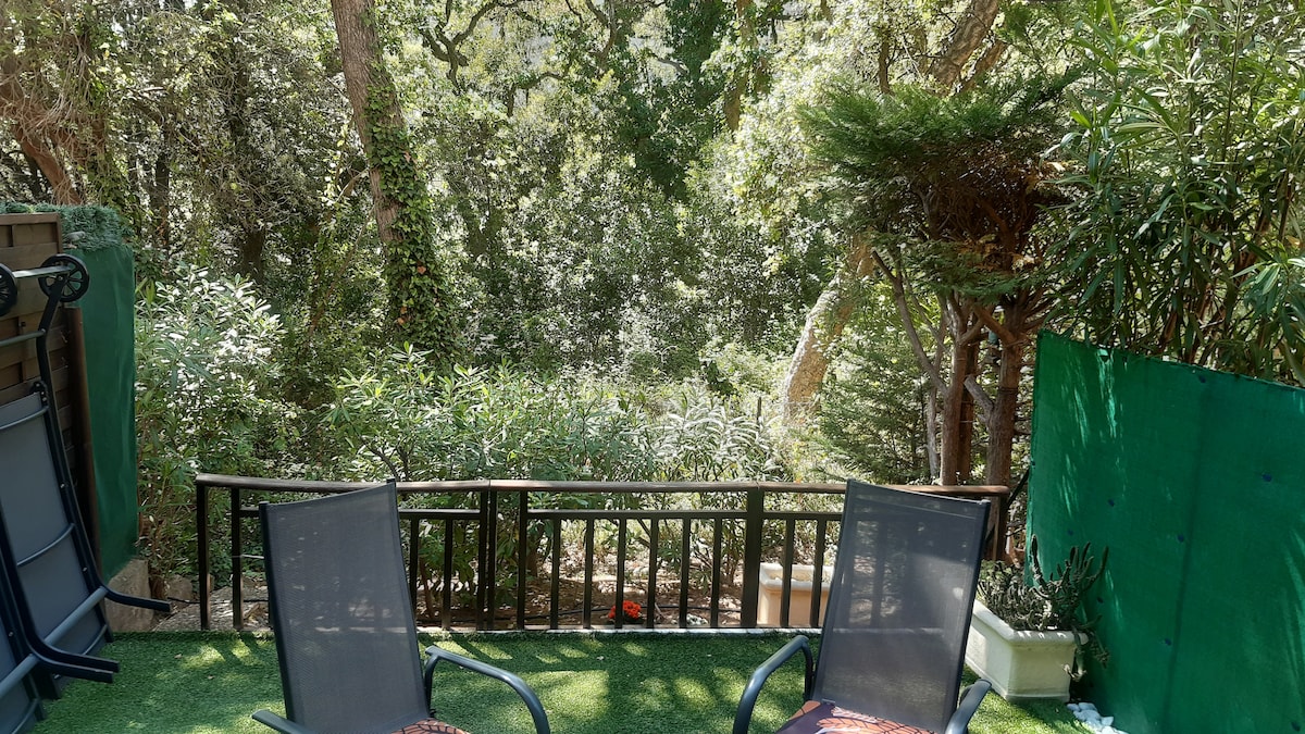An outdoor terrace features two comfortable chairs positioned to enjoy the surrounding greenery. Lush trees and plants create a natural backdrop, providing a serene atmosphere. The space is laid with synthetic grass, enhancing the area for relaxation amid nature.