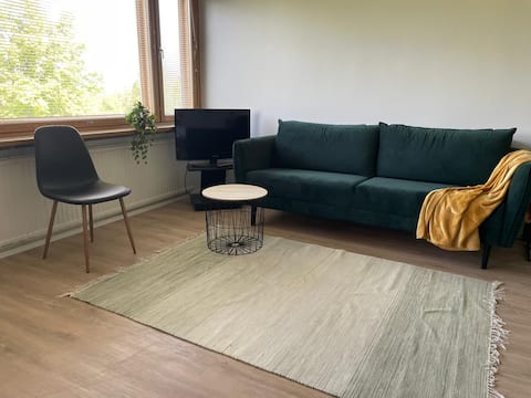 Popular Airbnb listing: The Darkside Studio Viitaniemi in Nisula
