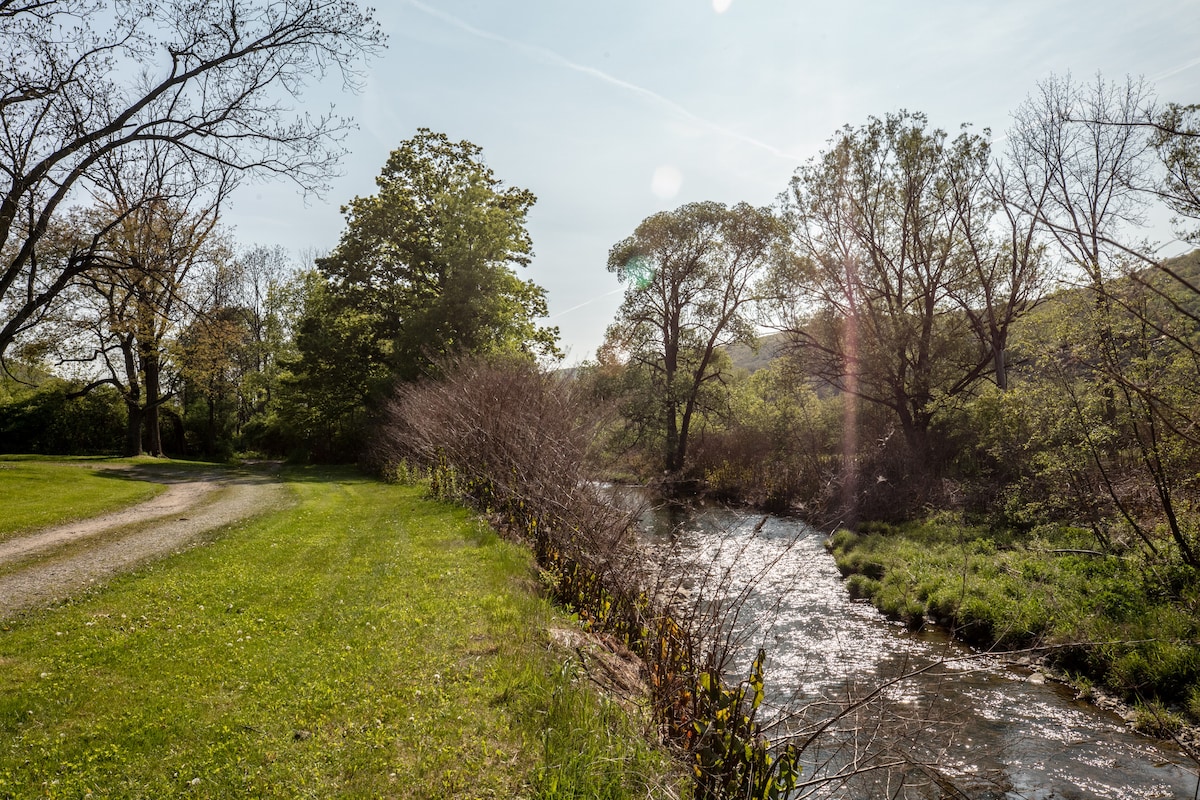 A serene outdoor scene reveals a gently flowing creek bordered by lush greenery and trees. A wide, grassy area leads towards the water, with a dirt path curving softly along the edge. Sunlight filters through the branches, casting a warm glow on the landscape.