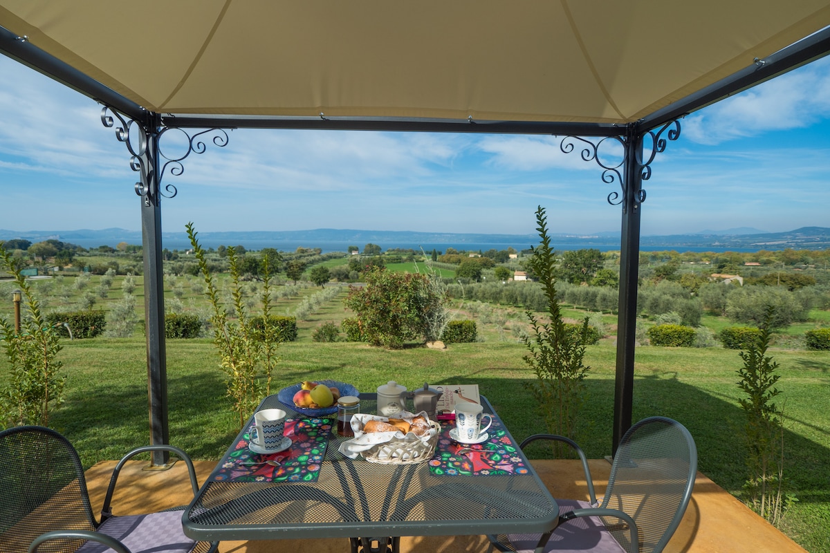 A gazebo features a table set with a selection of fruits, pastries, and beverages. Surrounding greenery and fields provide a scenic backdrop, while the expansive view of Lake Bolsena stretches into the distance under a clear sky.