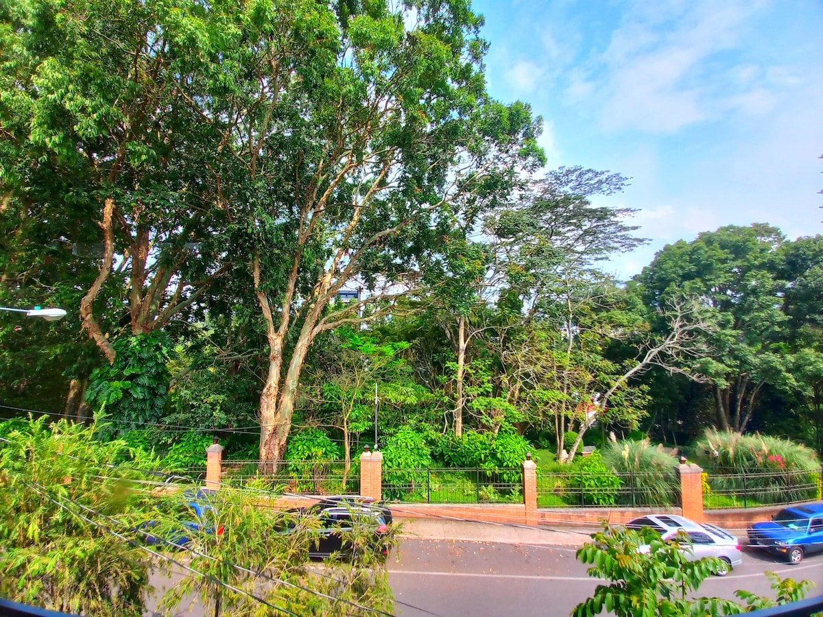 A view features a lush green park bordered by a sturdy brick wall. Tall trees provide shade, while a variety of vibrant foliage creates a natural backdrop. Cars are parked along the street, indicating a well-maintained and accessible area.