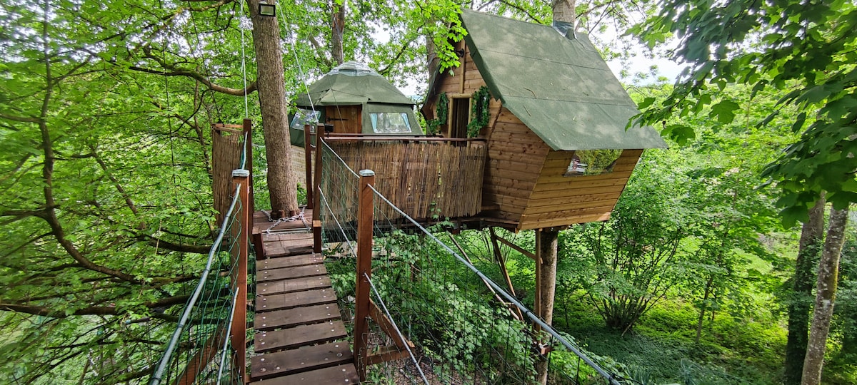 A treehouse is nestled among lush greenery, connected by a wooden suspension bridge. The structure features a wooden exterior with green roofs, blending harmoniously into the surrounding trees. Dense foliage creates a tranquil setting, enhancing the sense of seclusion and immersion in nature.