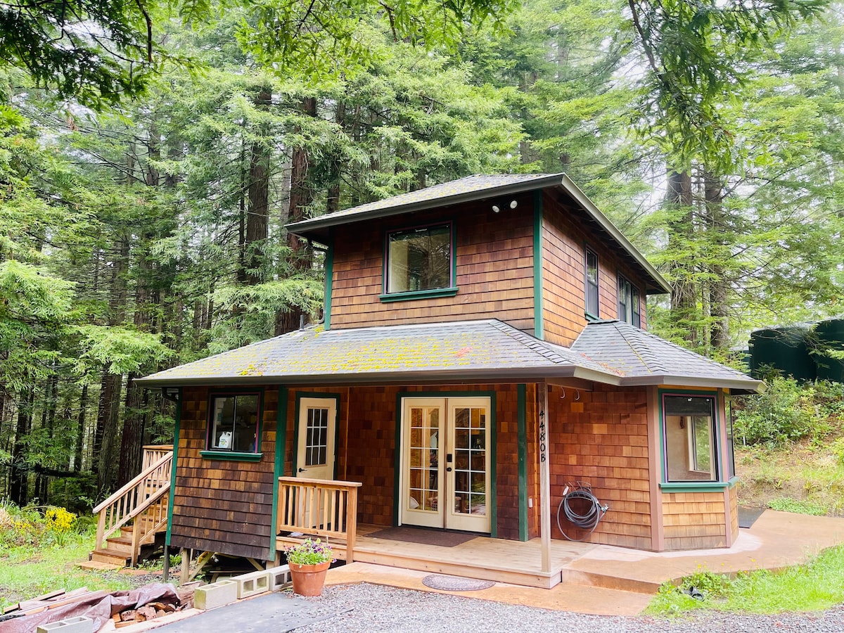 A cozy two-story home with wooden siding is surrounded by towering redwood trees. A front porch with a railing invites guests with steps leading up. Large windows allow for natural light, and a potted plant adds a touch of greenery to the entrance.
