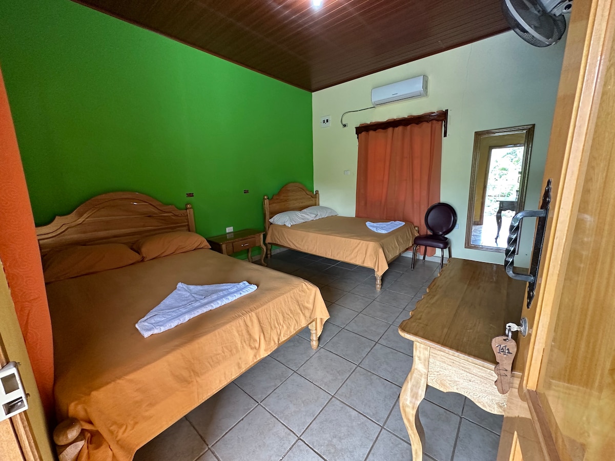 A well-lit room features two spacious beds, one with a light brown bedspread. A wooden table is placed on one side, accompanied by a single chair. A green accent wall adds color, and a window offers natural light through partially closed curtains.