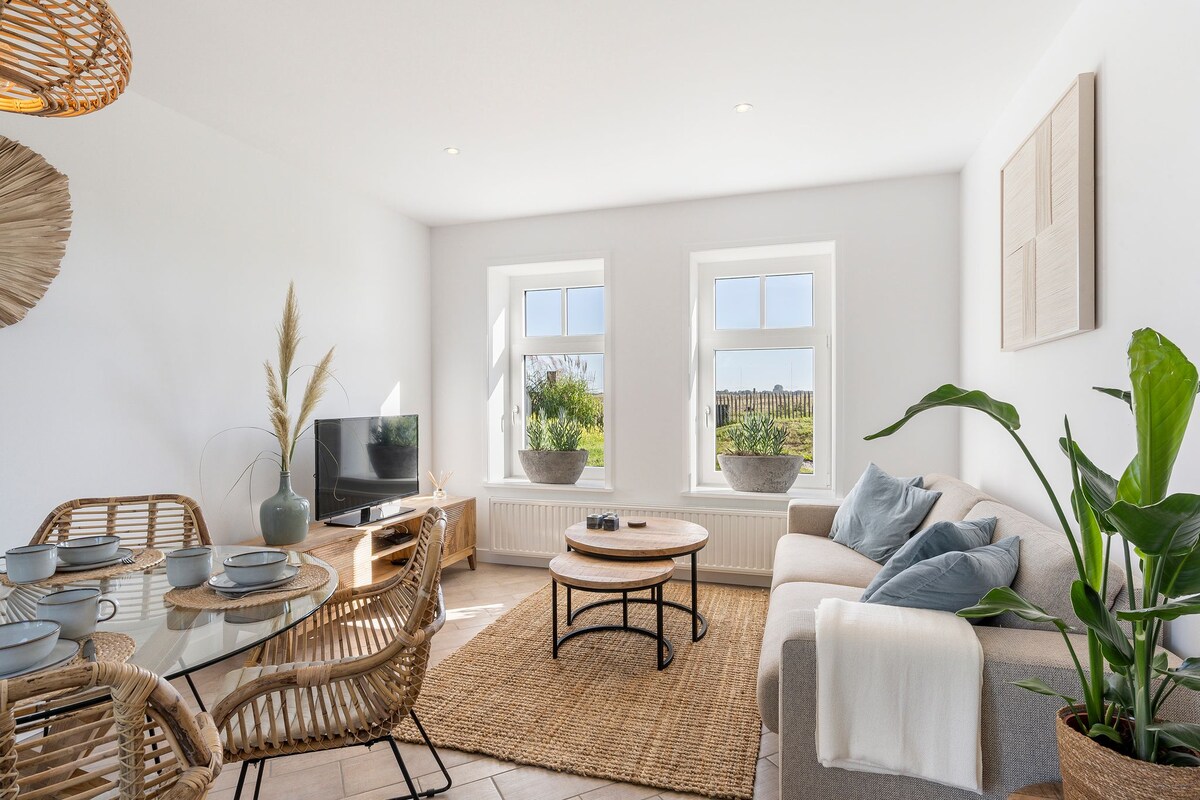Successful Airbnb property: Coastal Cottages huisje Bries in Ouddorp Oudeland