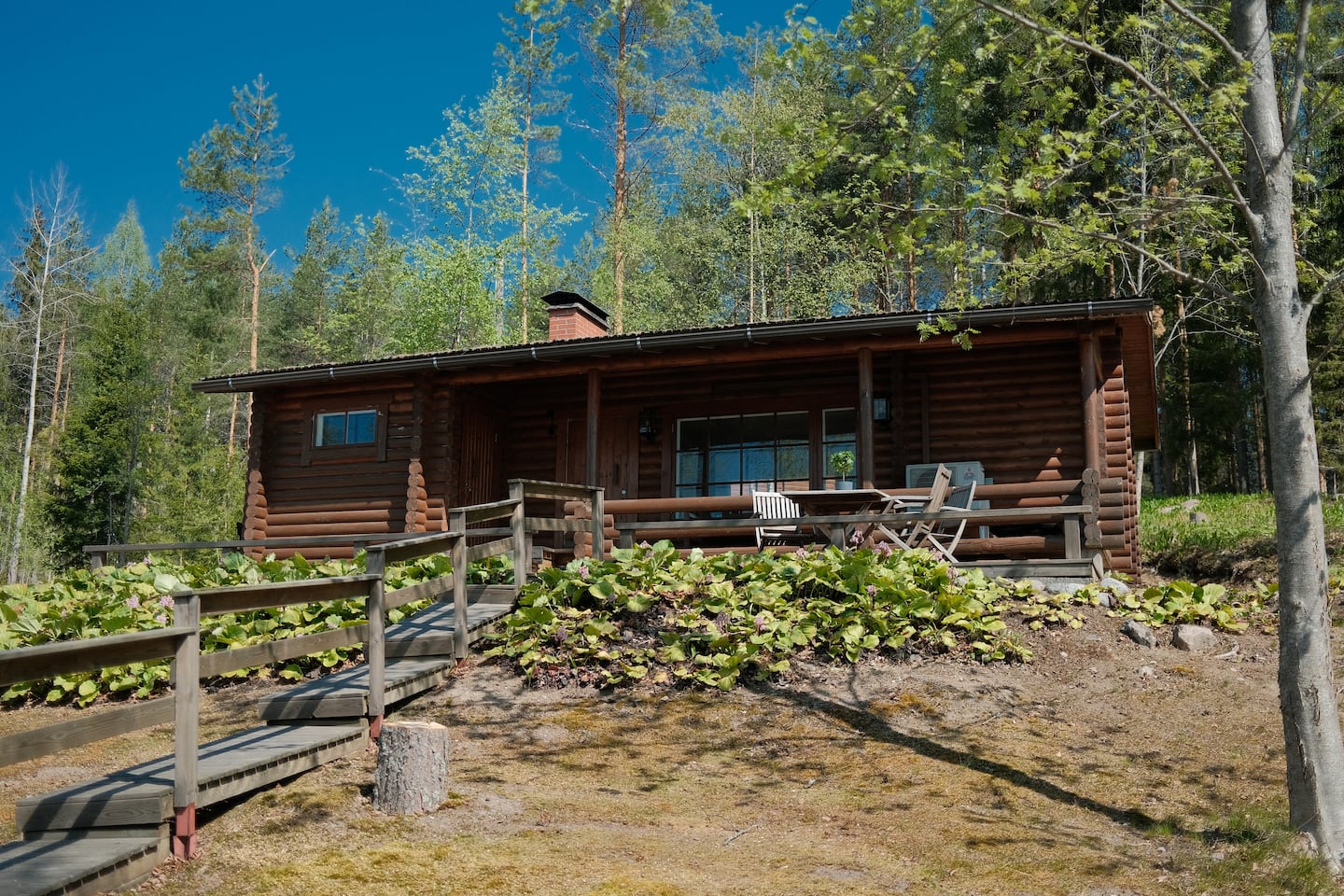 Peaceful Lakefront Cabin 2