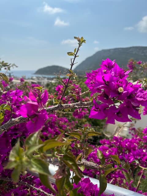TISAN ISLAND ROOFTOP with a magnificent view