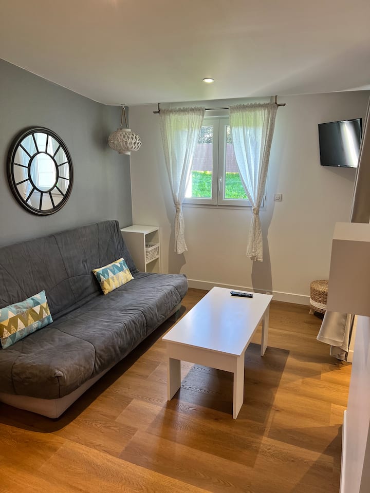 Agréable Studio (2) De 15 M2 - Vannes
