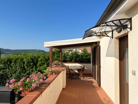 Casetta among the olive trees