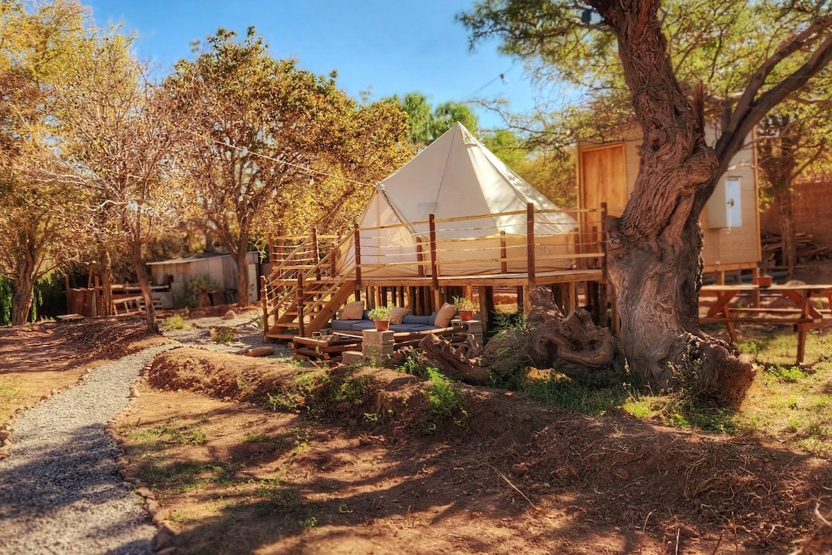 A serene structure designed with canvas and wood, elevated on a wooden deck, is surrounded by lush greenery. Seating areas with cushions are positioned on the deck, inviting relaxation. A winding gravel path leads through the natural landscape, enhancing the tranquil setting.