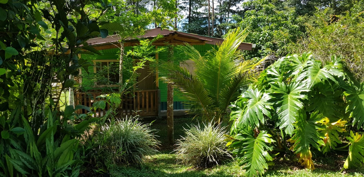 A forested exterior view showcases a cozy house surrounded by lush greenery. Tropical plants and ferns frame the building, with a wooden porch visible under a sloping roof. Sunlight filters through the trees, creating a serene ambiance in the natural setting.