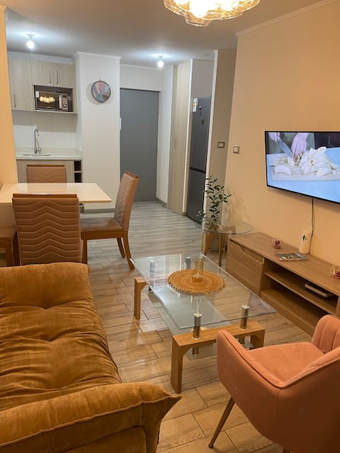 Successful Airbnb property: Apartment - 2 bedrooms in Concepcion