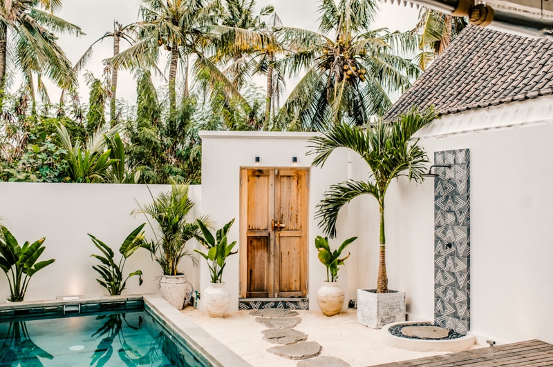 The image showcases a serene outdoor space featuring a swimming pool surrounded by lush tropical greenery. A wooden door and patterned stone wall add a modern touch to the tranquil atmosphere, while potted plants provide natural accents.