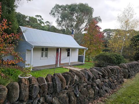 Cottage in the woods