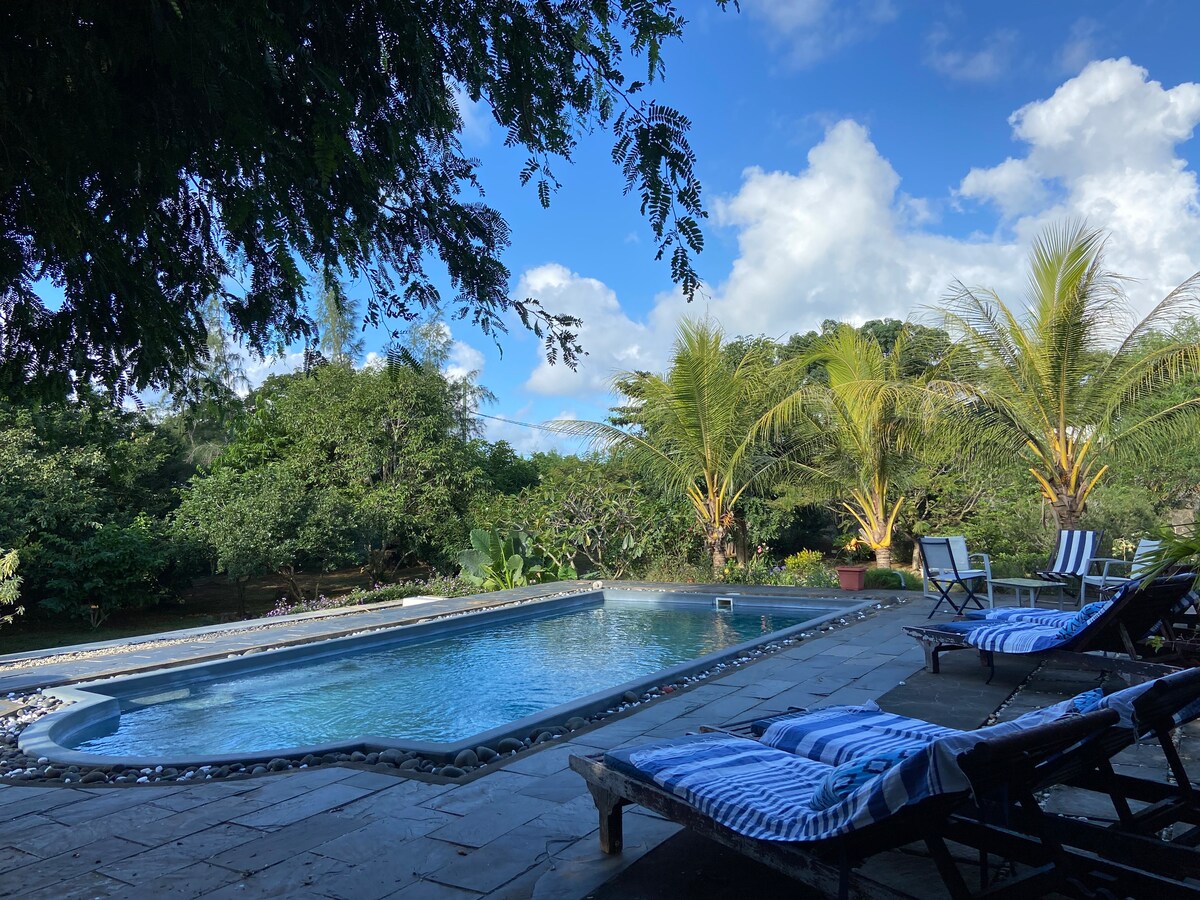 A serene outdoor pool is surrounded by lush greenery, featuring palm trees and various plants. Comfortable deck chairs with blue and white striped covers are positioned nearby on a stone patio, inviting relaxation under a bright sky with scattered clouds.
