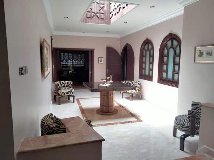 Amman visual data 7