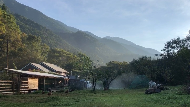 A serene landscape is revealed, featuring a rustic accommodation amidst lush greenery. Rolling mountains rise in the background under a clear sky, while soft morning mist adds a tranquil ambiance. Chickens and goats are seen roaming freely in the open area adjacent to the building.