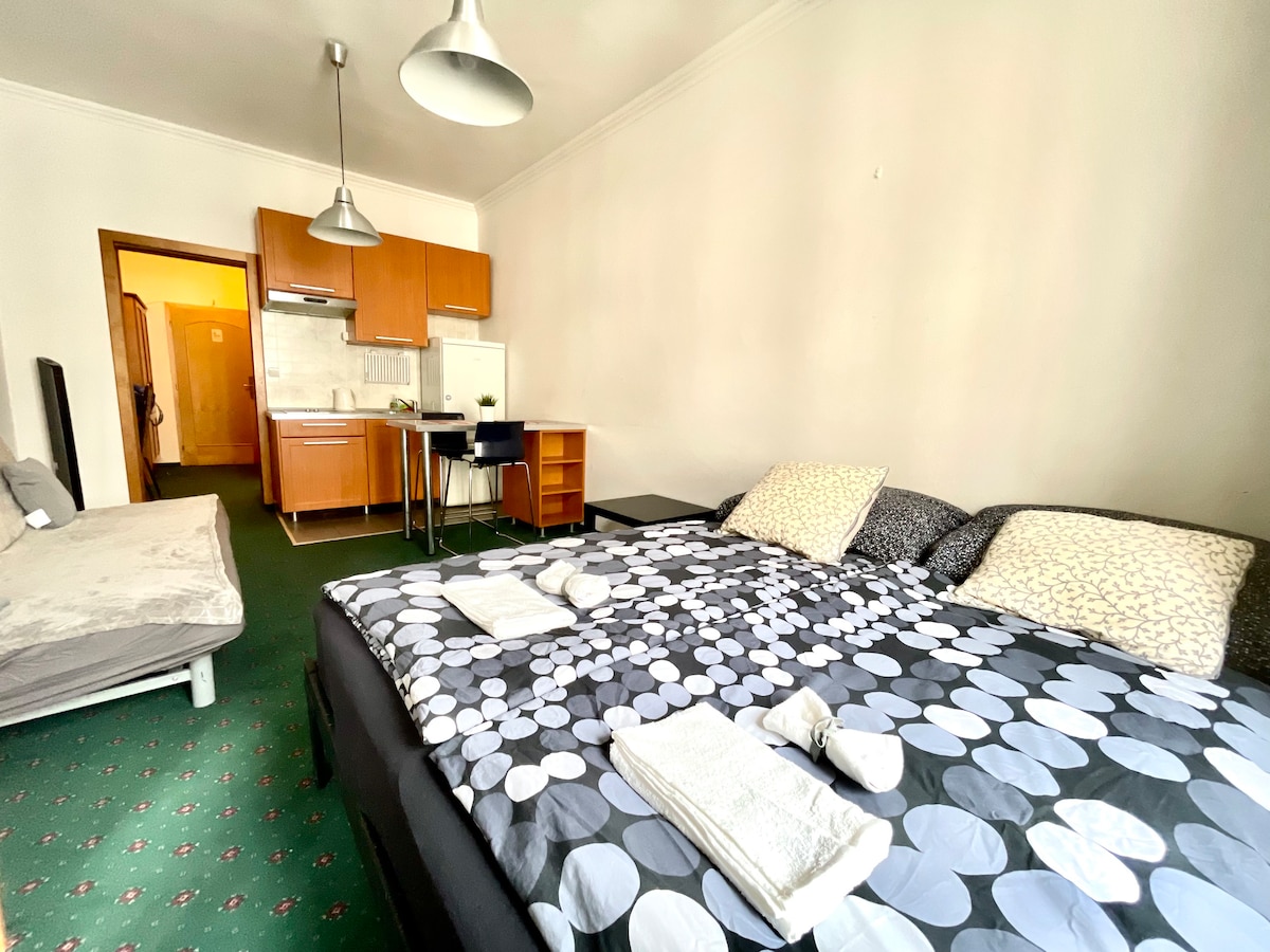 A spacious sleeping area is furnished with a large bed featuring a polka dot duvet cover. A small dining area with two chairs and a table is visible, along with a kitchenette equipped with wood cabinetry. Natural light enters through a doorway leading to the kitchen.