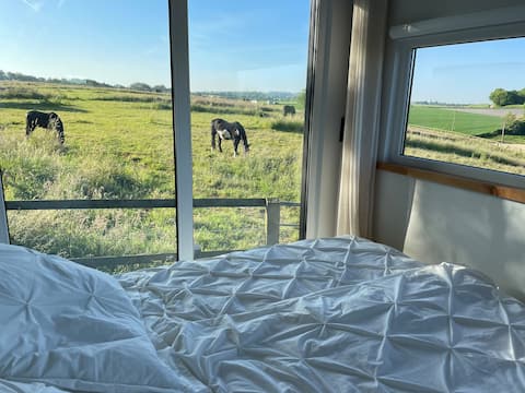 Mobile Shipping Container In Horse Farm