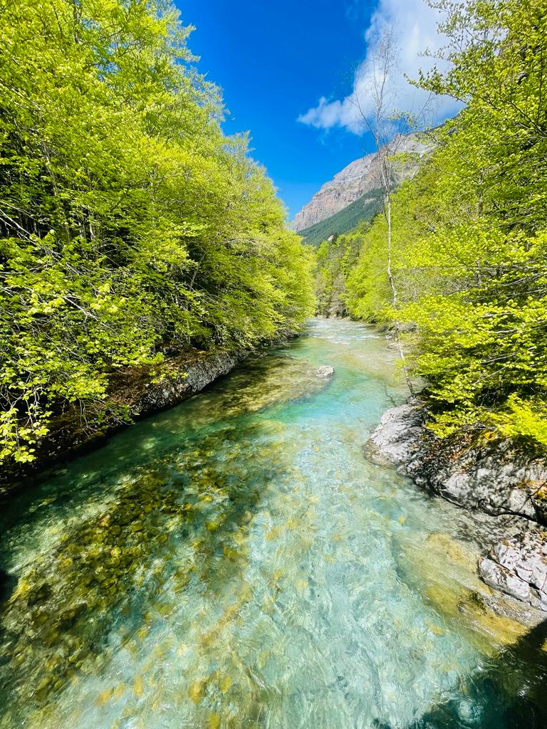 A serene river flows gently through lush greenery, with crystal clear water reflecting the vibrant hues of nature. Surrounding rocky edges are visible, alongside a backdrop of towering mountains under a clear blue sky, creating a tranquil and inviting atmosphere.