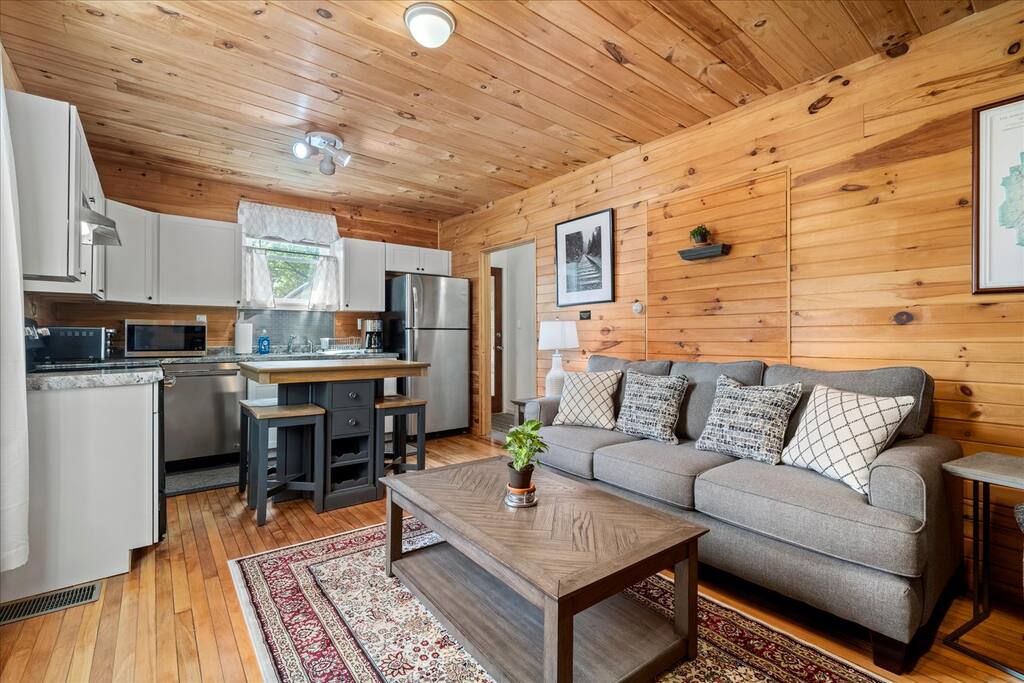 Cozy 1 BR 1 BA Apt Near ADK Park