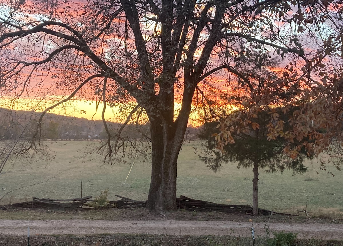 A large tree stands prominently in the foreground against a vibrant sky at sunset, showcasing a gradient of warm colors. An open field stretches in the background, with a rustic fence line partially visible along the ground.