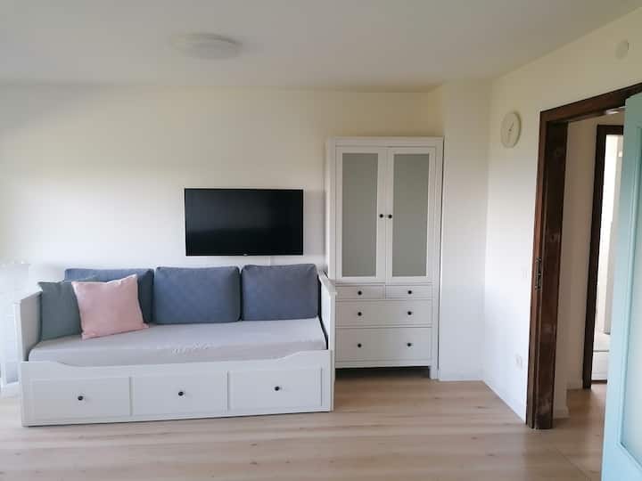 Dnevni boravak/spavaća soba