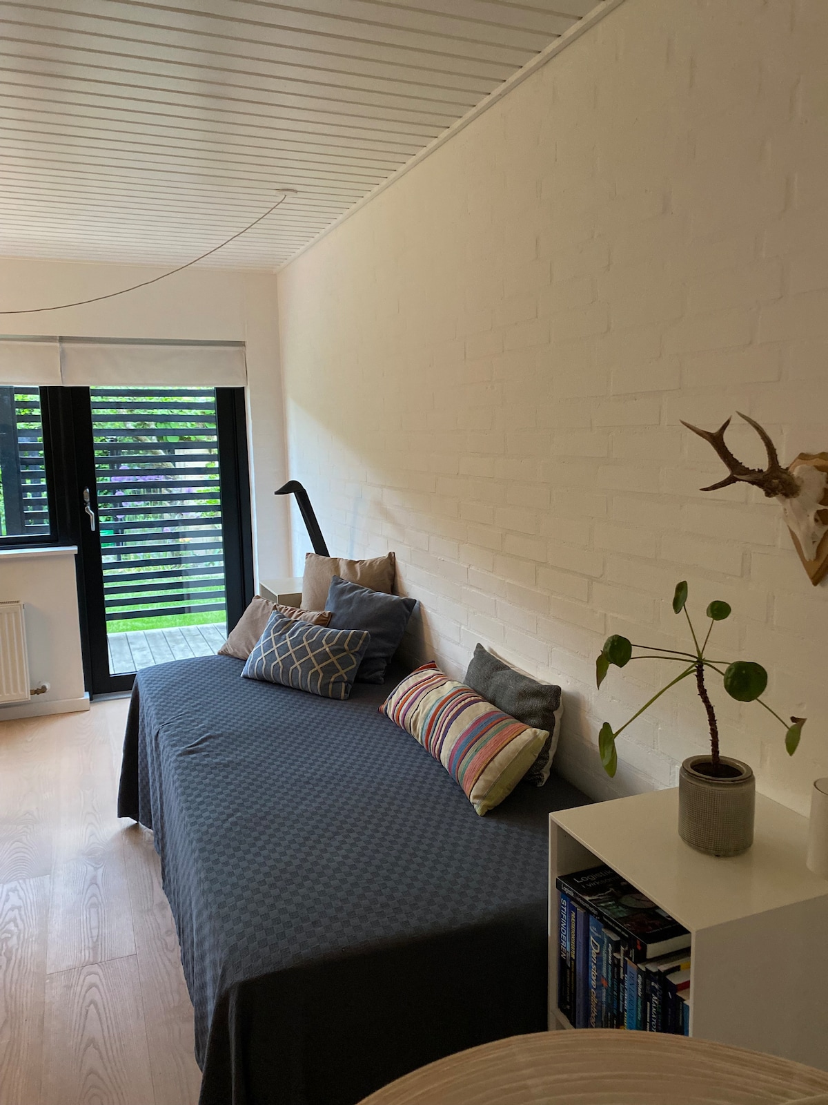 A comfortable seating area features a blue couch adorned with various decorative cushions. Natural light filters through a large window with black shutters, illuminating the pale wooden flooring and a small potted plant nearby. A collection of books is displayed on a white shelf.