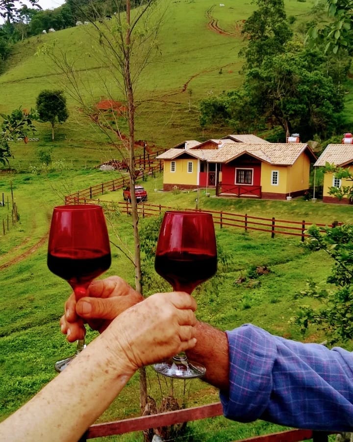 Two hands are raised in a toast, each holding a glass of red wine. In the background, colorful cottages are situated on a lush green hillside, surrounded by trees and a fence lining the property.