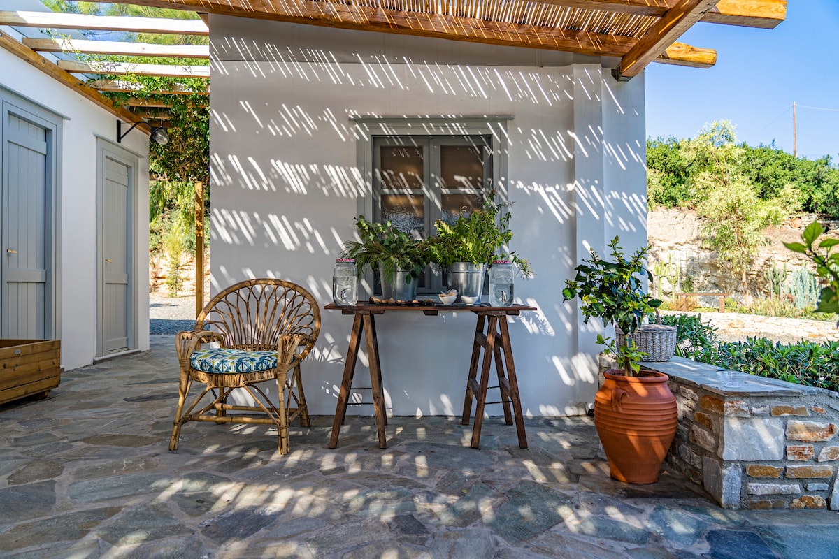 A stone-paved patio features a wooden table adorned with potted greenery, set against a wall that showcases a window framed by shadows. Nearby, a wicker chair adds to the inviting outdoor space, surrounded by lush vegetation.