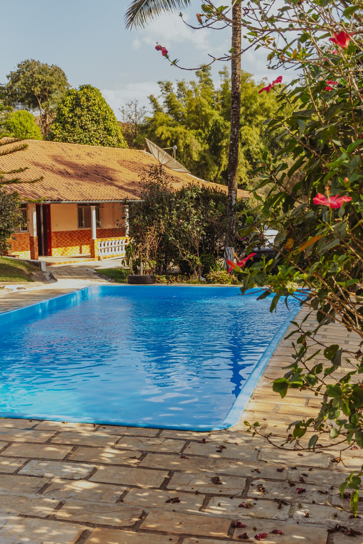 A tranquil pool is framed by vibrant greenery and flowers. A cozy house with a warm roof is visible in the background. The pool reflects the surrounding nature under clear skies, offering a serene outdoor space for relaxation.