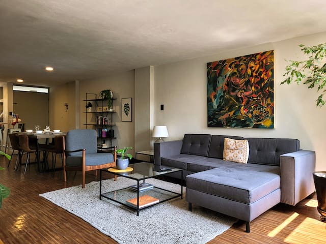 Quiet spacious Condesa flat