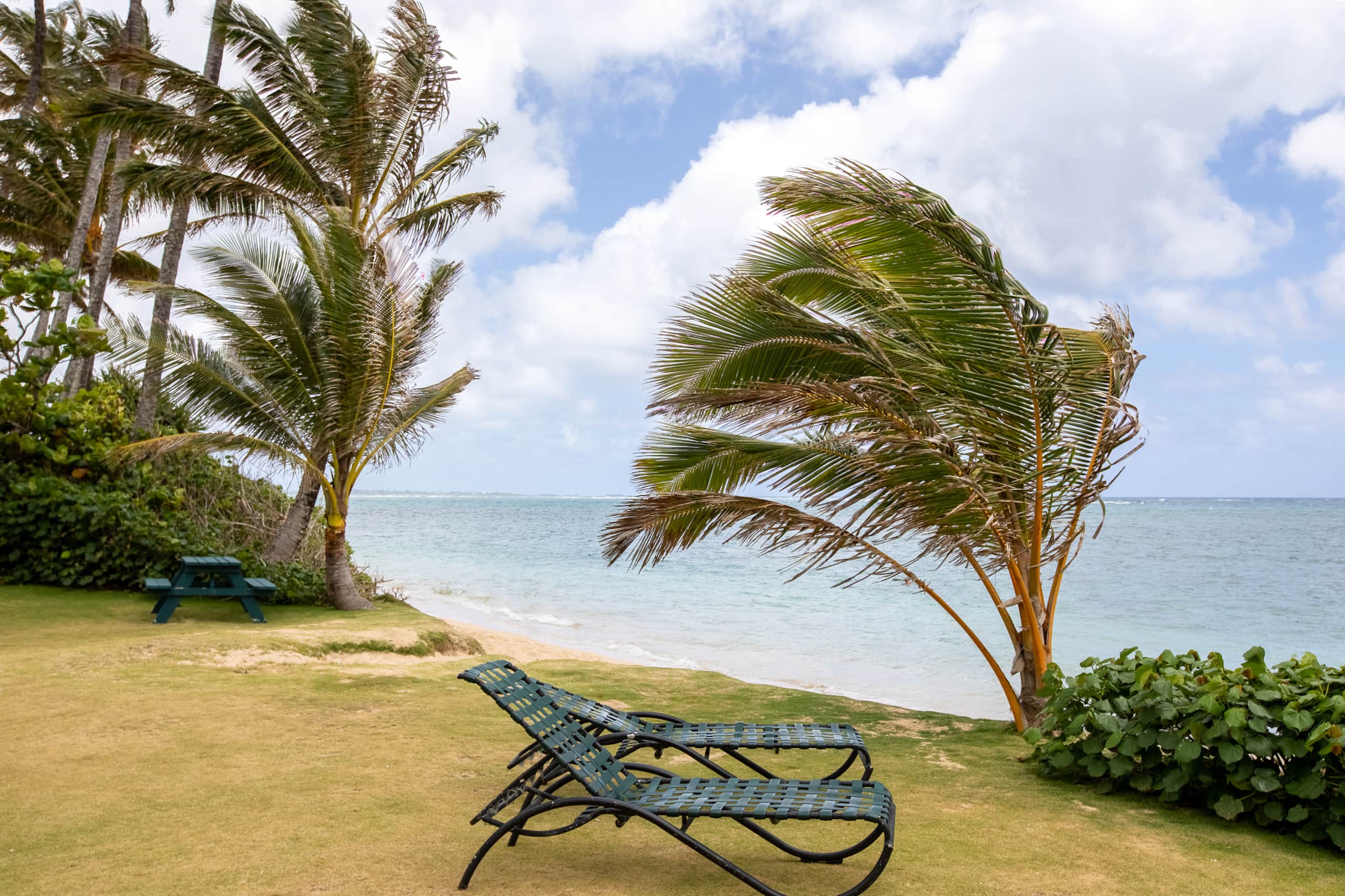 Ocean view, Sleeps 4, AC, Beautiful Beach, Wi-Fi - Image 30