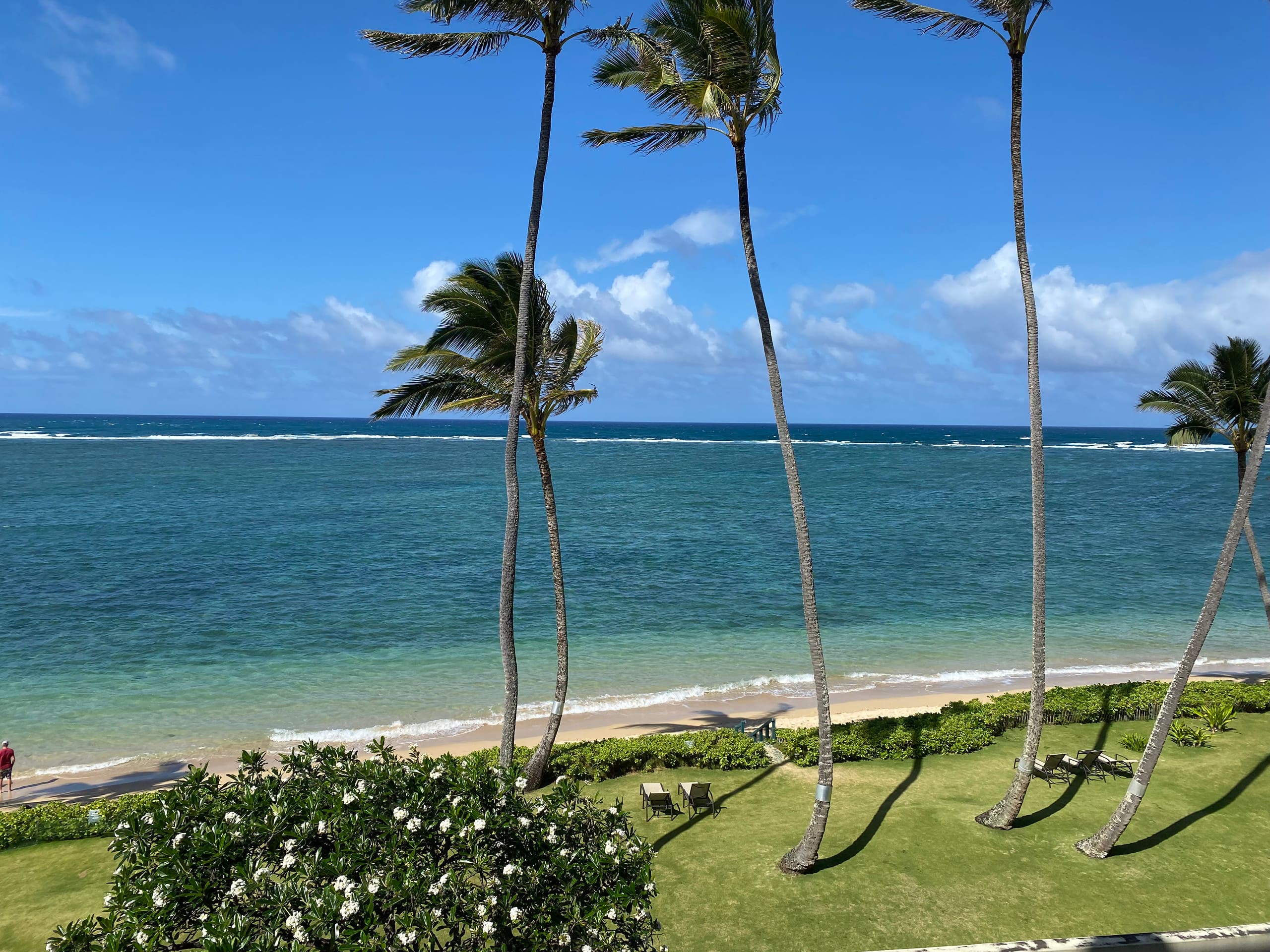 Ocean view, Sleeps 4, AC, Beautiful Beach, Wi-Fi - Image 19