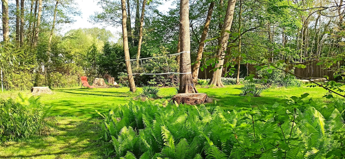 A lush garden area is filled with vibrant greenery, featuring tall trees and ferns. A volleyball net is set up between two trees, providing an active space. Log seating is arranged amidst the landscaping, inviting relaxation in a serene outdoor setting.