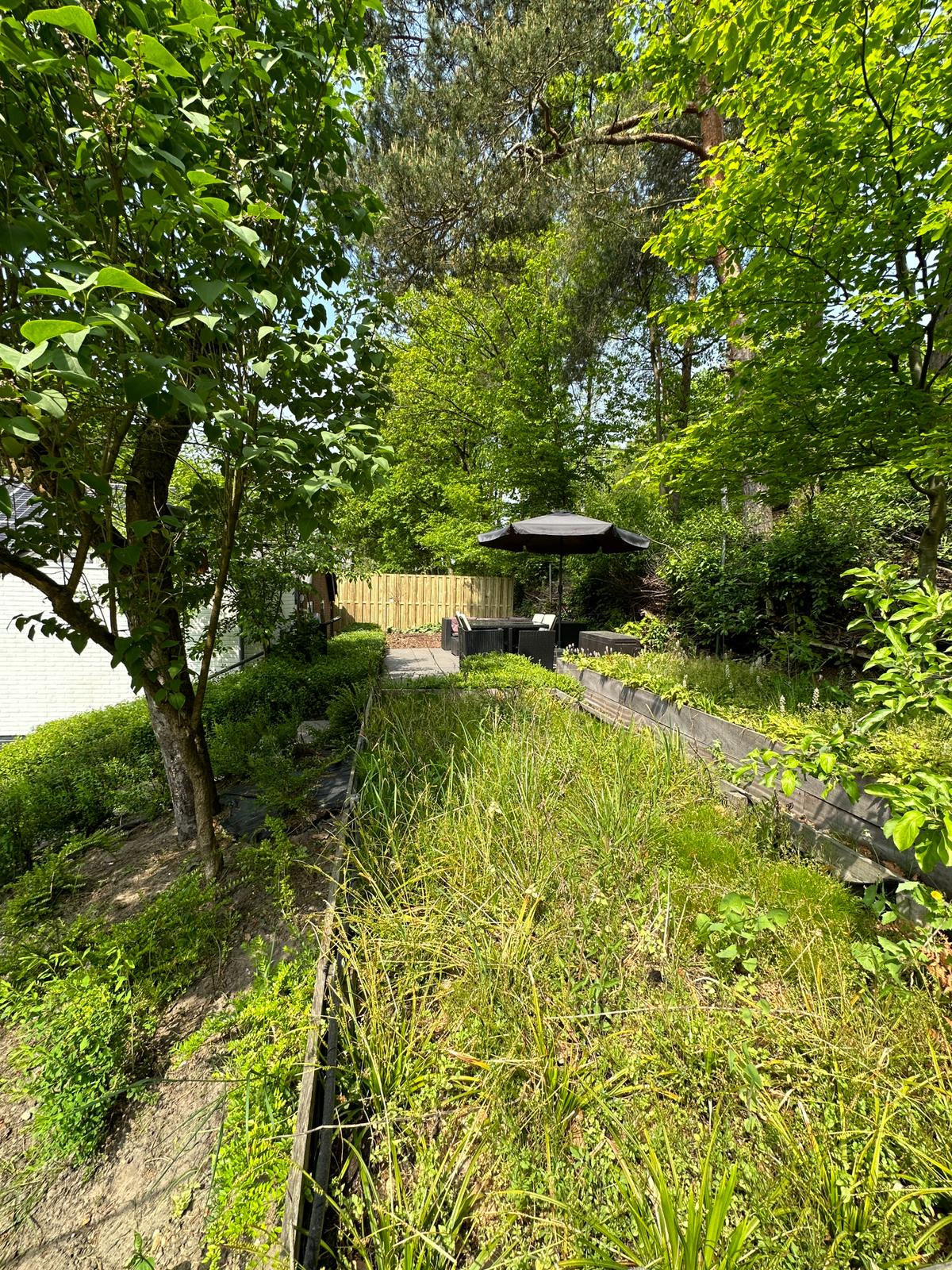 A lush garden is seen with a variety of greenery, including small trees and shrubs. An outdoor seating area with a canopy is visible at the end of a pathway. The space is surrounded by a wooden fence, providing privacy and a natural setting.