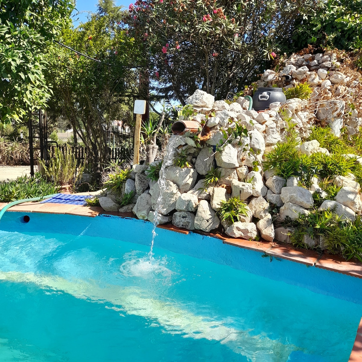 A serene swimming pool glistens under sunlight, surrounded by lush greenery and flowering plants. A rock formation is visible at one end, featuring gentle water flowing into the pool. The clear water reflects the vibrant colors of the landscape.