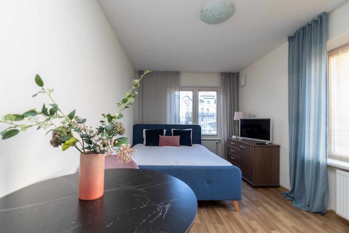A bright and airy studio is depicted, featuring a spacious bed with a light-colored duvet. A blue armchair occupies one corner, and a small round table with a floral arrangement is visible. A television sits on a wooden dresser, with natural light coming through the window.