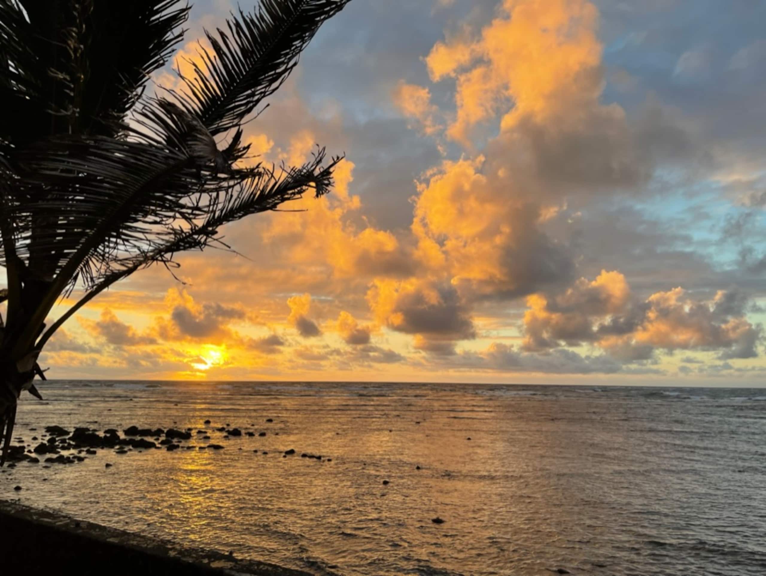Guesthouse in Hauula · ★4.57 · 1 bedroom · 2 beds · 1 shared bath - Image 16