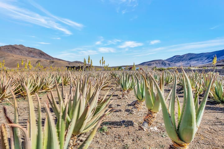 Country house Aurora in Bio Farm in Fuerteventura - Cottages for Rent in  Antigua, Las Palmas, Spain - Airbnb