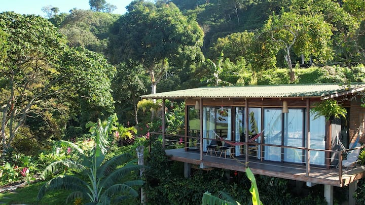 Ocean View Cabin, Terrace & Hammocks, Coffee Farm