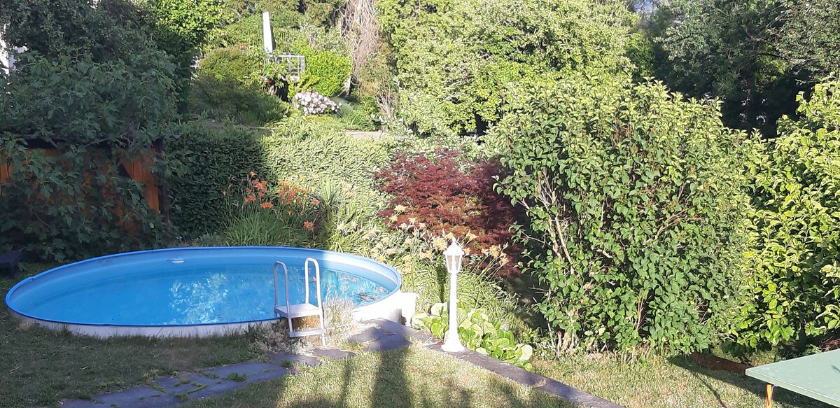 A small, inviting pool with clear blue water is surrounded by lush greenery and vibrant plants. A ladder leads into the pool, while various shrubs and flowers enhance the garden's natural beauty.