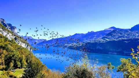 MEHRSiCHT - House in a dream location