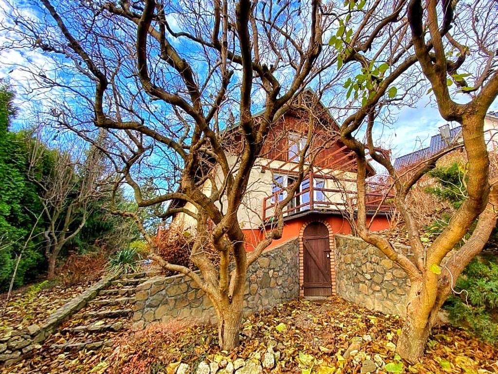 The exterior of the house is surrounded by bare trees and a stone pathway. A wooden door is visible at the base of the structure, leading to the entrance. Seasonal foliage in warm hues covers the ground, providing a natural ambience.