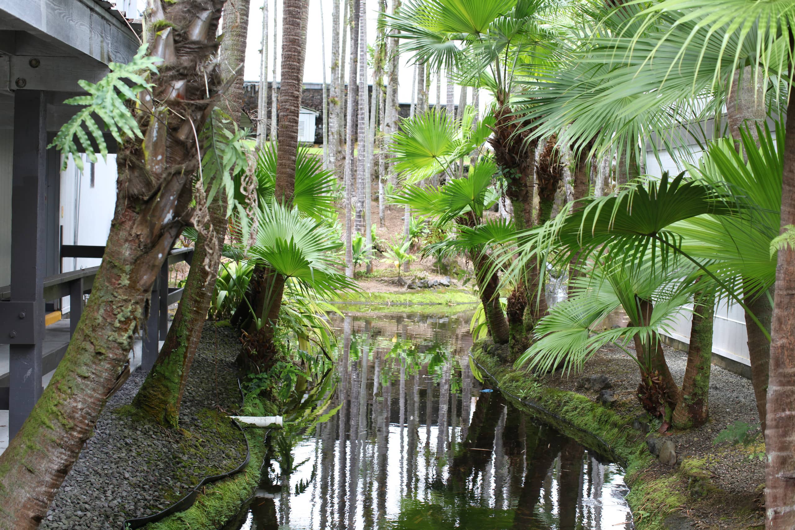 Tropical Garden Condo with Pool Kitchen, and AC - Main photo