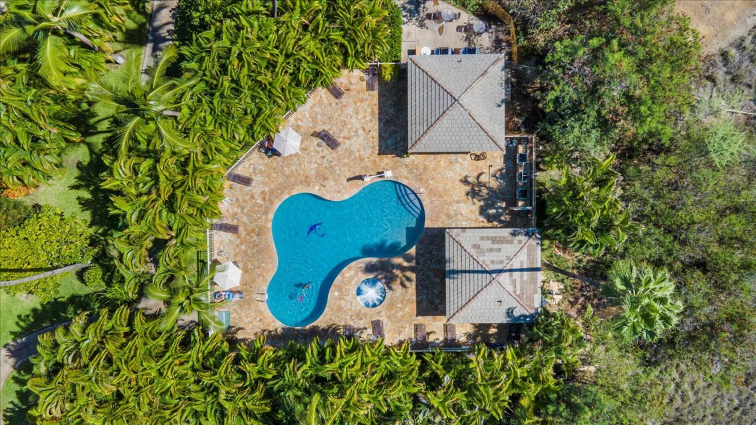Entire 2bd/2ba condo in Kihei Steps at Kamaole II - Image 48