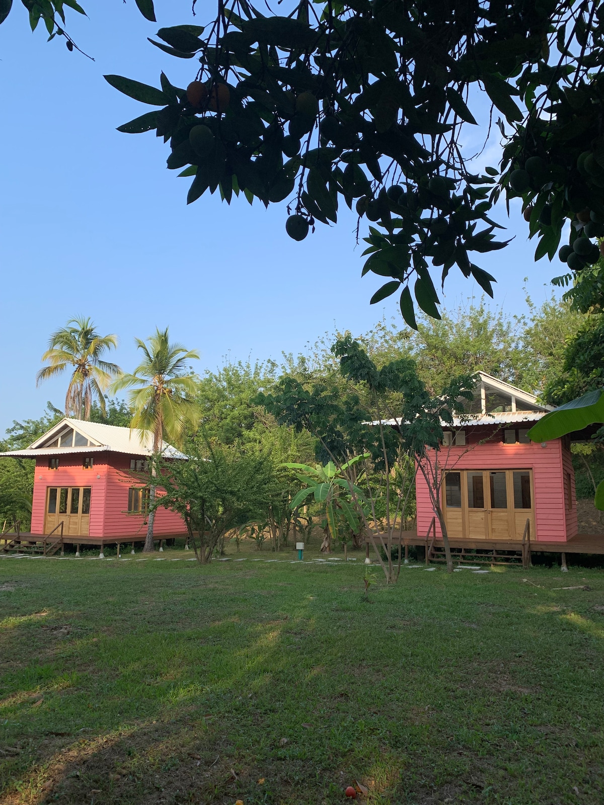 Two charming cabins are surrounded by lush greenery, set against a clear blue sky. Each cabin features wooden doors and large windows, allowing natural light to fill the interior. Palm trees and other tropical foliage add to the serene atmosphere of the space.