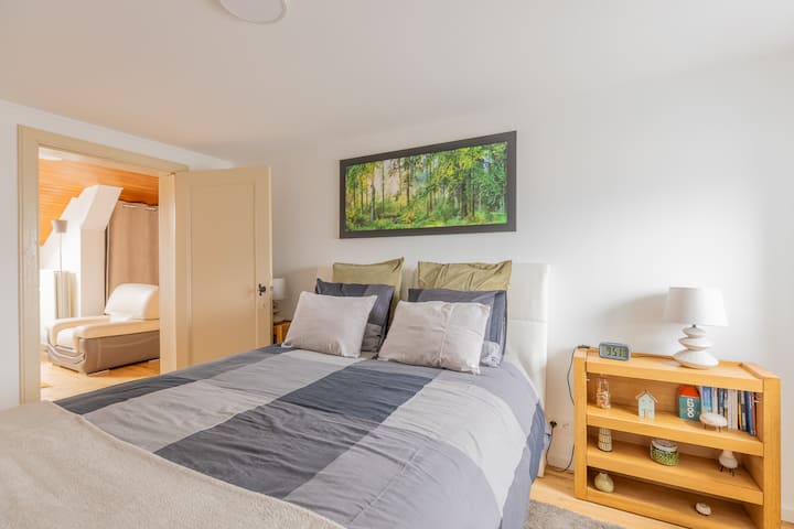 Le petit Arlonais - 2-room apartment 40 m2
