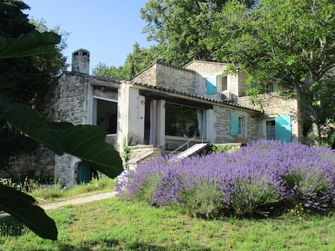 Lacoste, best in town !