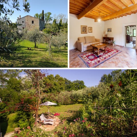 Apartment with garden and pool- Il Pietrone